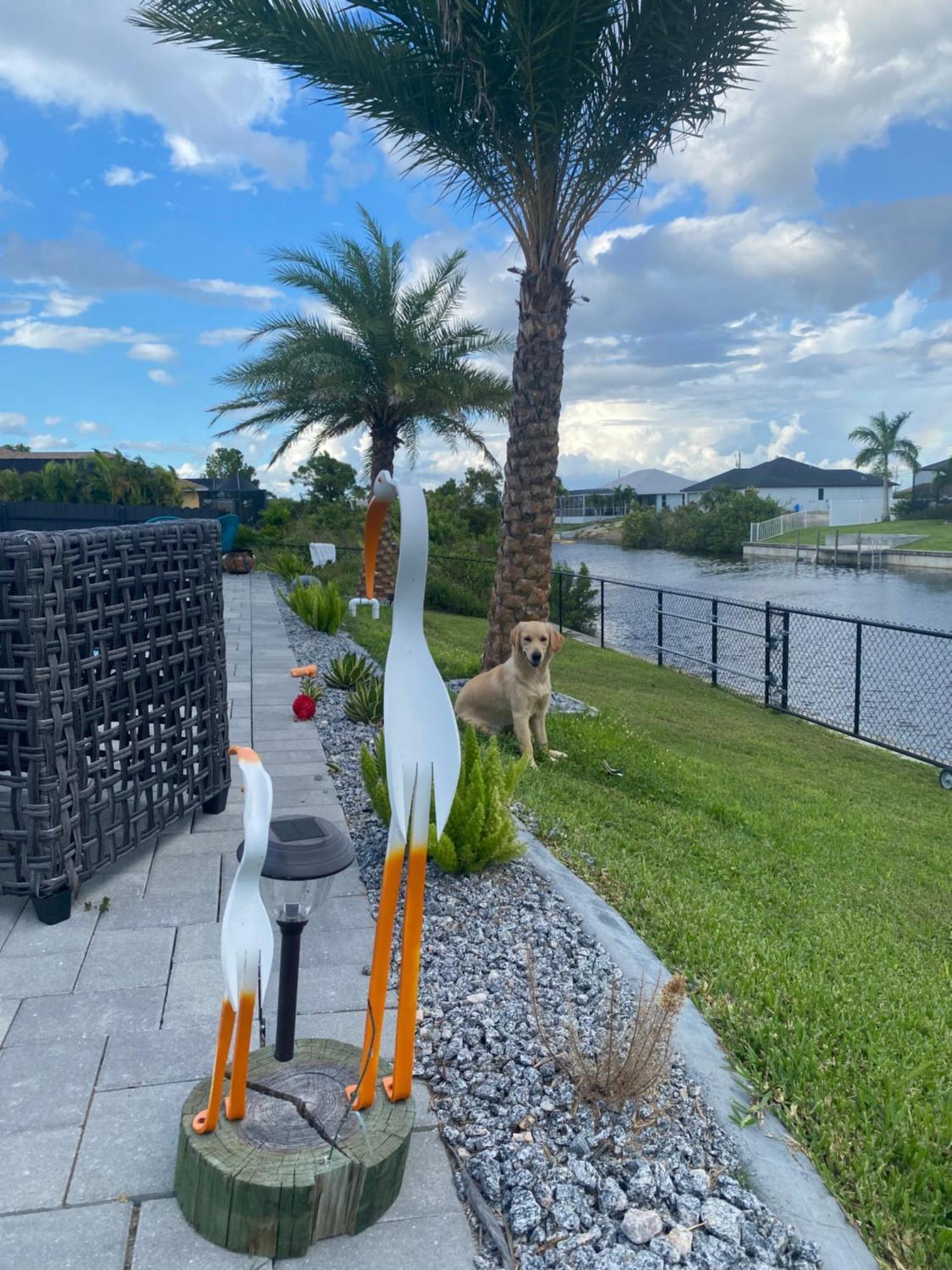 Canal Waterfront House-Pool-Fishing And Game Room Cape Coral Exterior photo